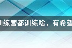 篮球训练营应该教些什么